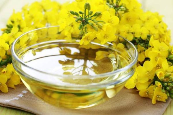 درباره روغن کانولا چه می دانید؟ درباره روغن کانولا چه می دانید؟