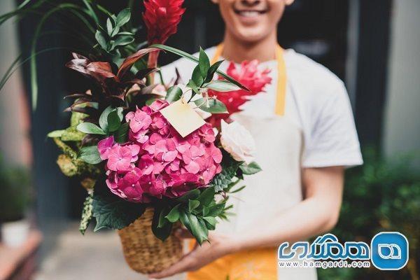 سفارش آنلاین باکس گل ارزان قیمت؛ بهترین گلفروشی های آنلاین سفارش آنلاین باکس گل مقرون به صرفه قیمت؛ برترین گلفروشی های آنلاین را بشناسید
