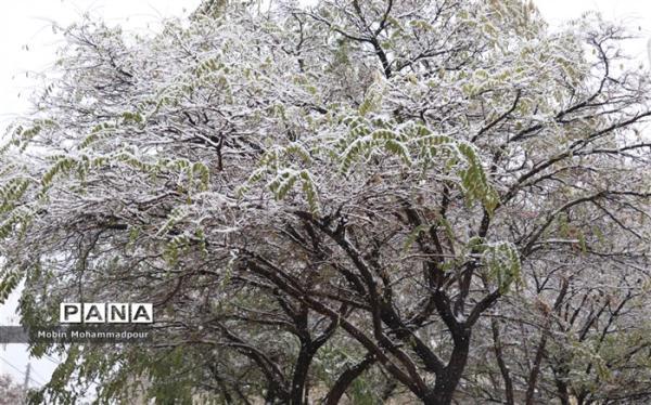 هواشناسی هشدار داد؛ بارش باران و برف در 19 استان