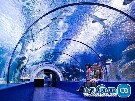 آکواریوم آنتالیا یکی از جاهای دیدنی ترکیه به شمار می رود