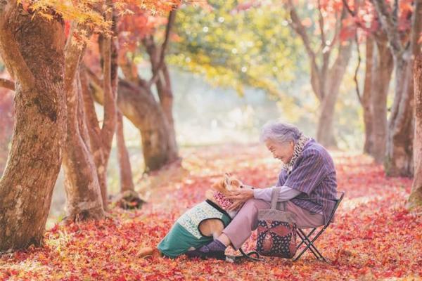 عکس هایی جالب از مادربزرگ و سگش